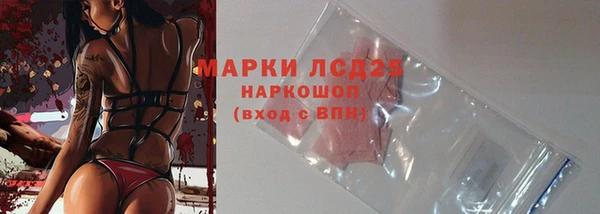 гашик Михайловка