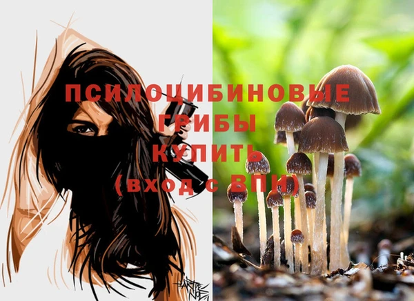 a pvp Михайлов