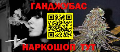 крисы Малгобек