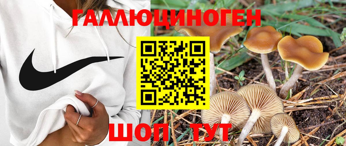 Галлюциногенные грибы мицелий Шали