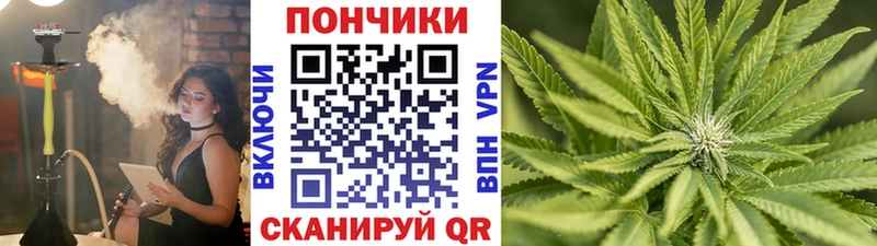 Каннабис ГИДРОПОН  нарко площадка наркотические препараты  Шали 